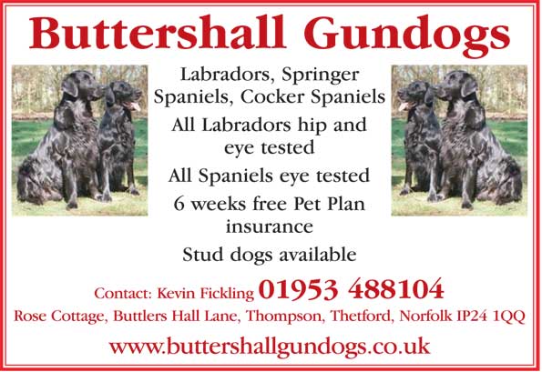Buttershall Gundogs